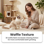 Catnip Waffle Cat Toy – Crinkle Sound, Durable Chew & Bite Toy for Indoor Cats, Stress Relief - Upkinify Inc. All Rights Reserved